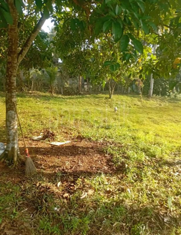 Residential Land for Sale in Kahathuduwa ads-image-1