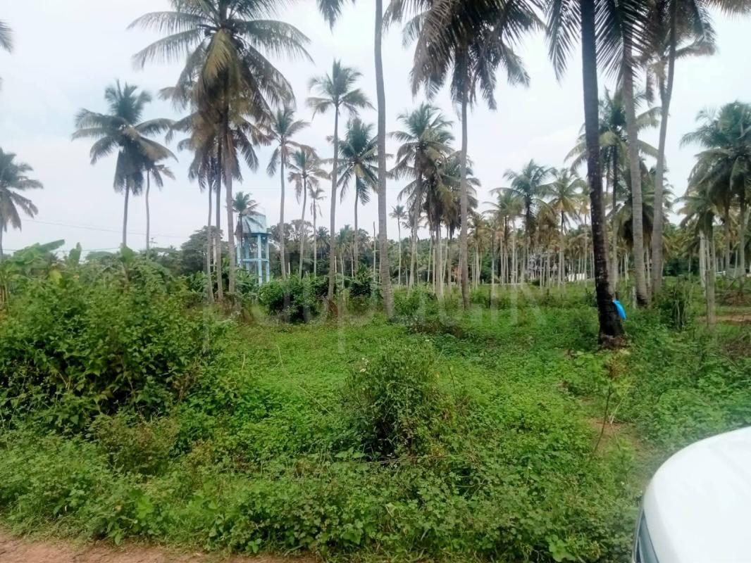 Residential Land for Sale in Kurunegala