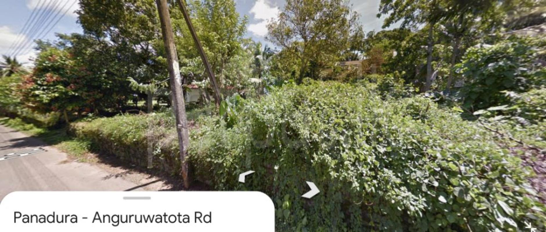 premium-listing-image