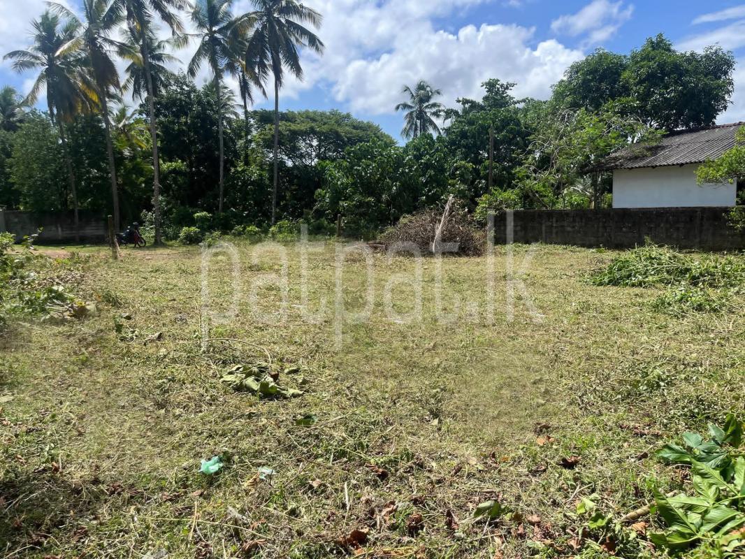 Residential Land for Sale in Kadawatha