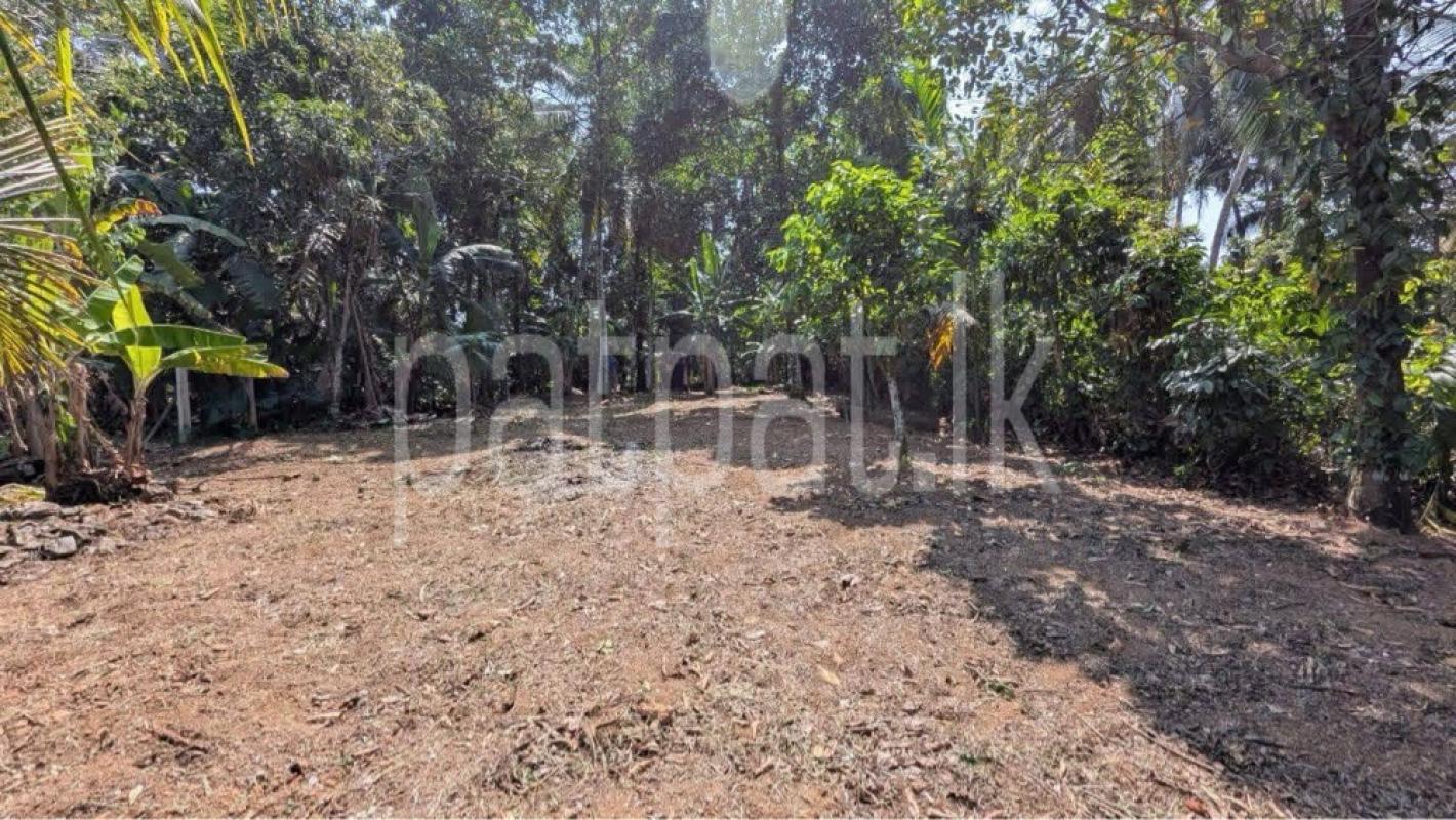 Residential Land for Sale in Kirindiwela