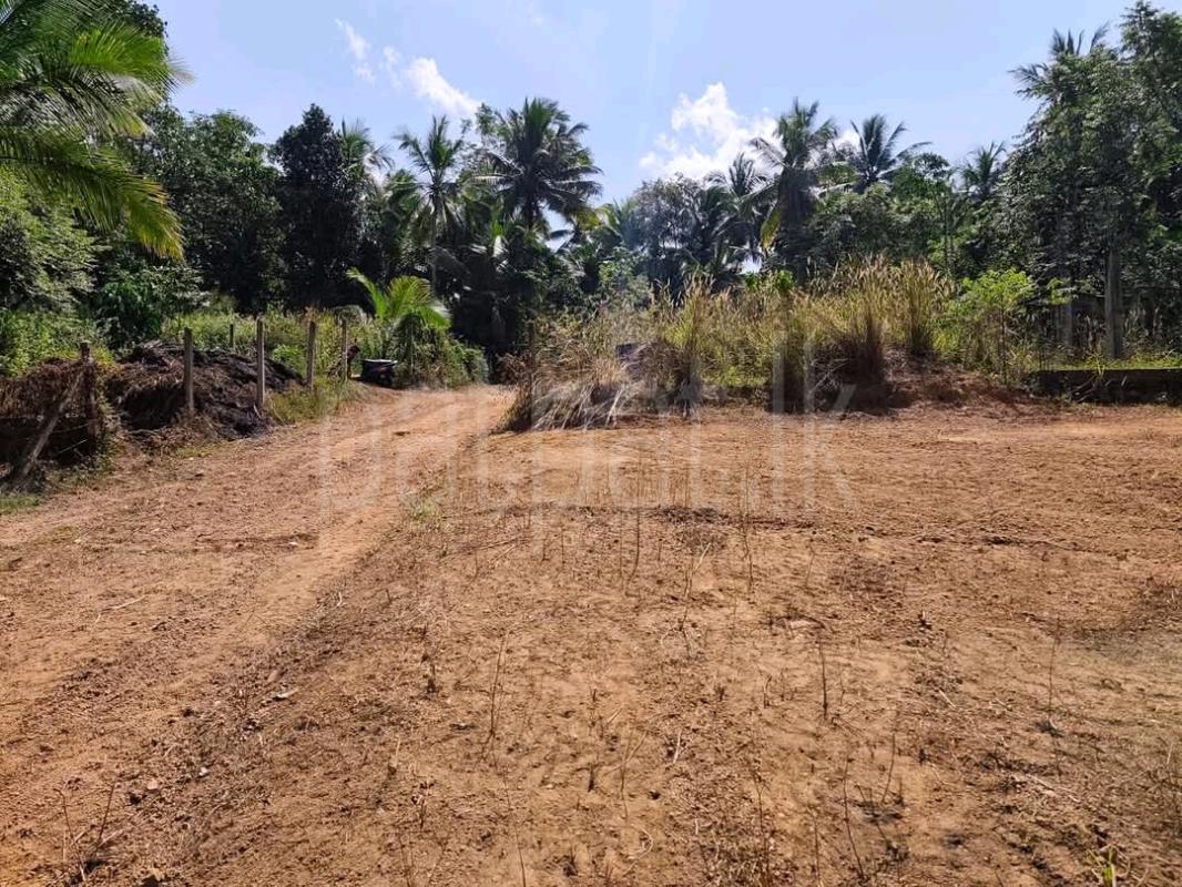 Residential Land for Sale in Yakkala ads-image-1