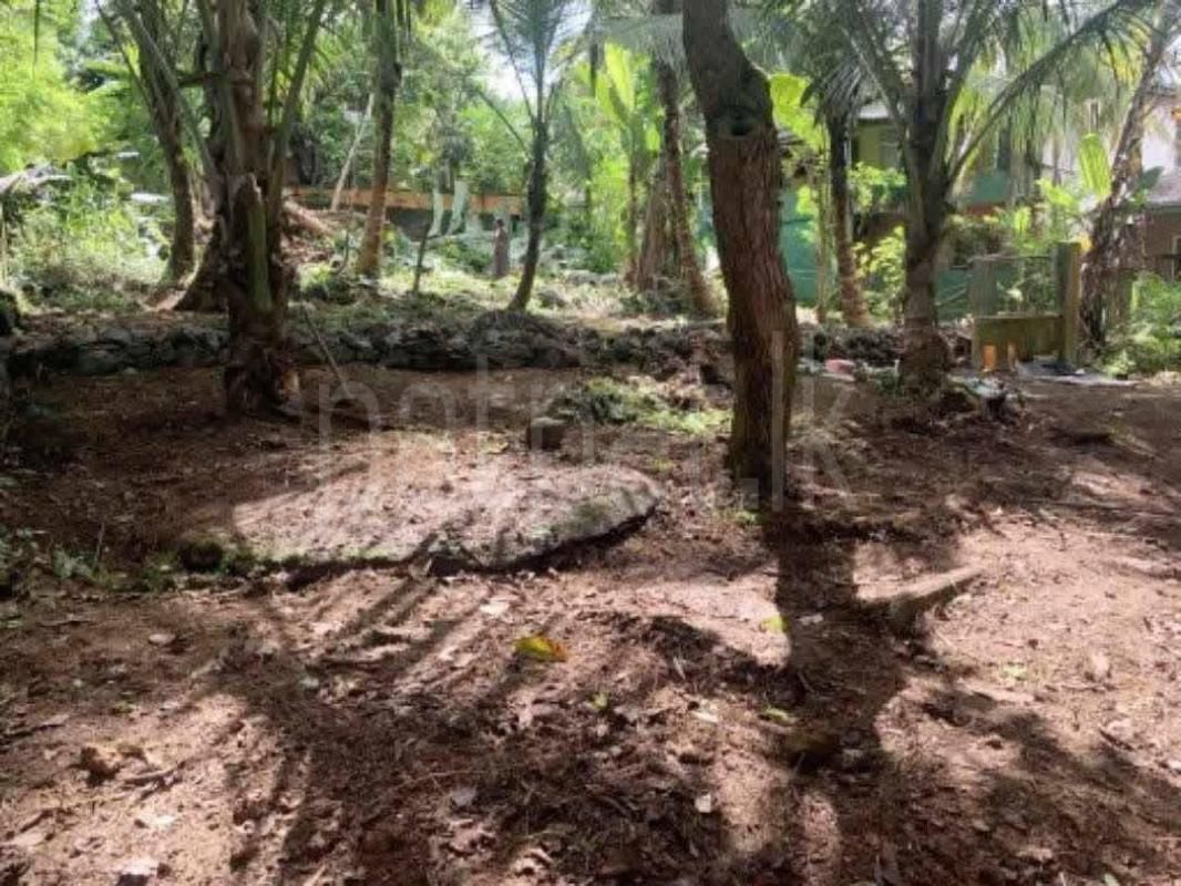 Agricultural Land for Sale in Kahathuduwa ads-image-1