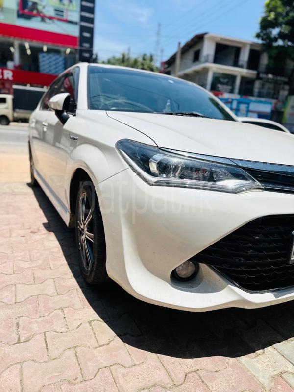 Advertisement image 2