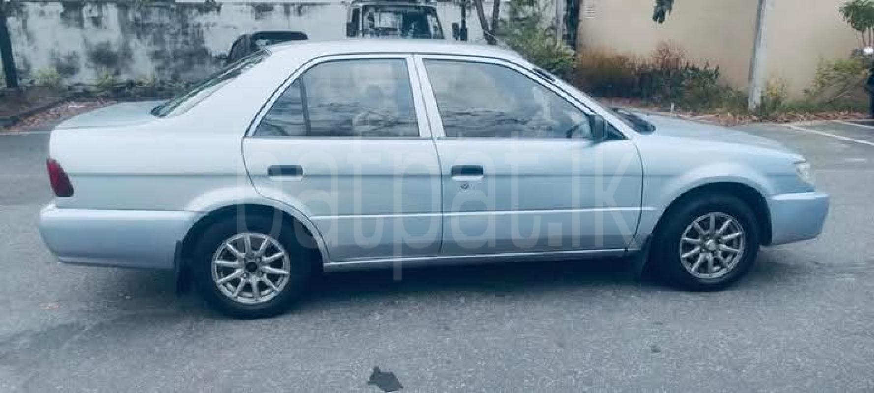 Advertisement image 6