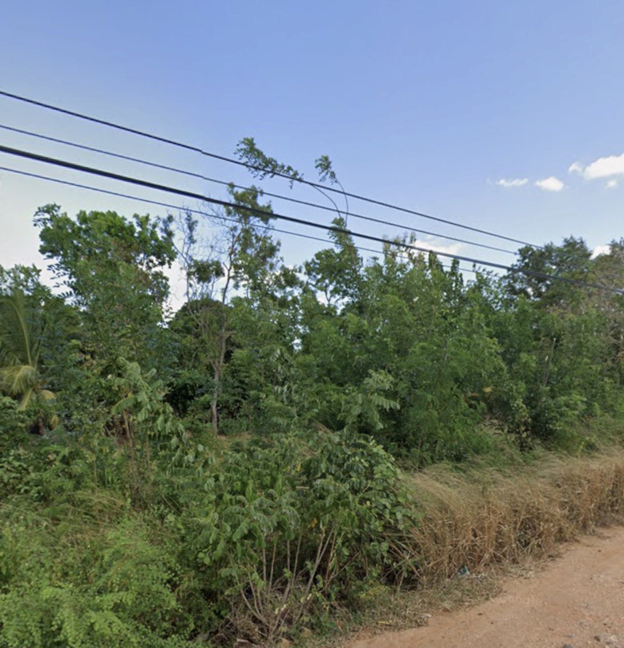 Agricultural Land for Sale in Kantalai ads-image-1