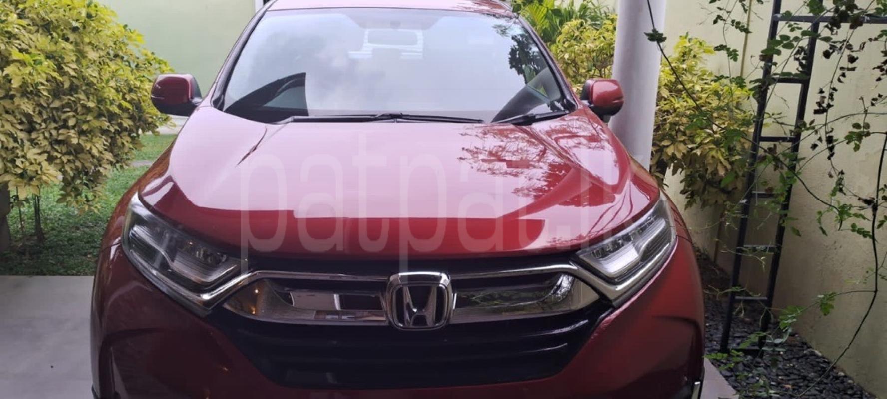 Advertisement image 1