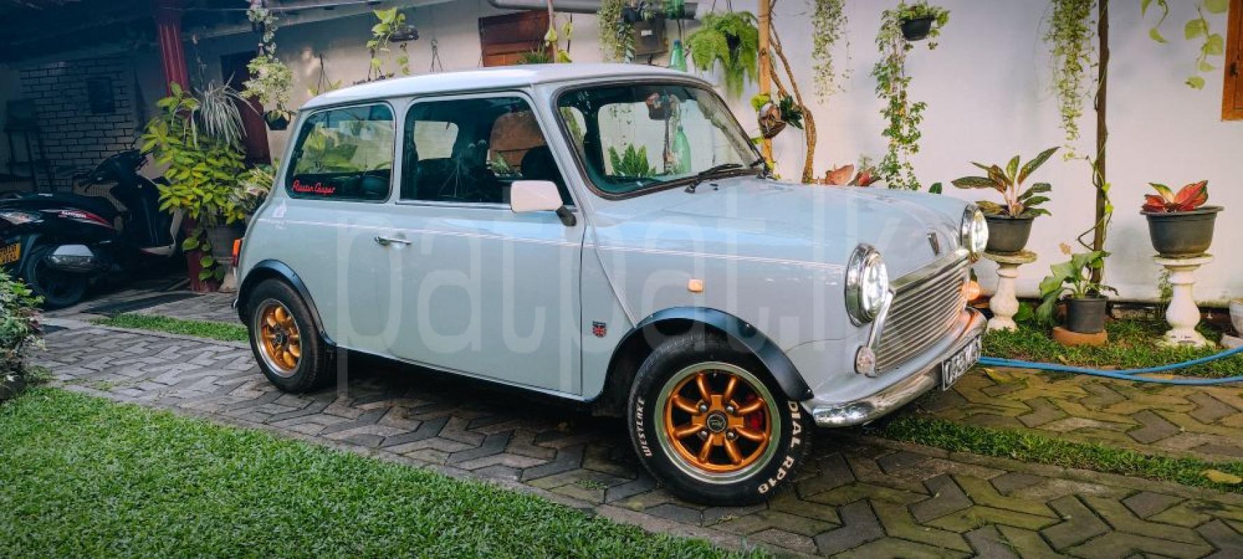 Advertisement image 1