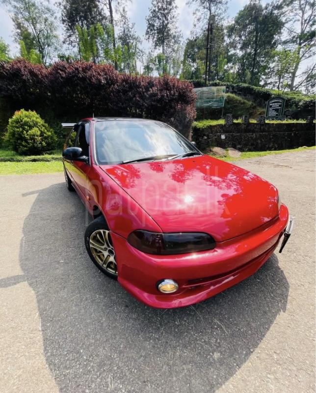 Advertisement image 3