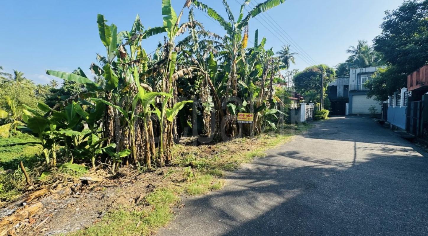 Residential Land for Sale in Ganemulla