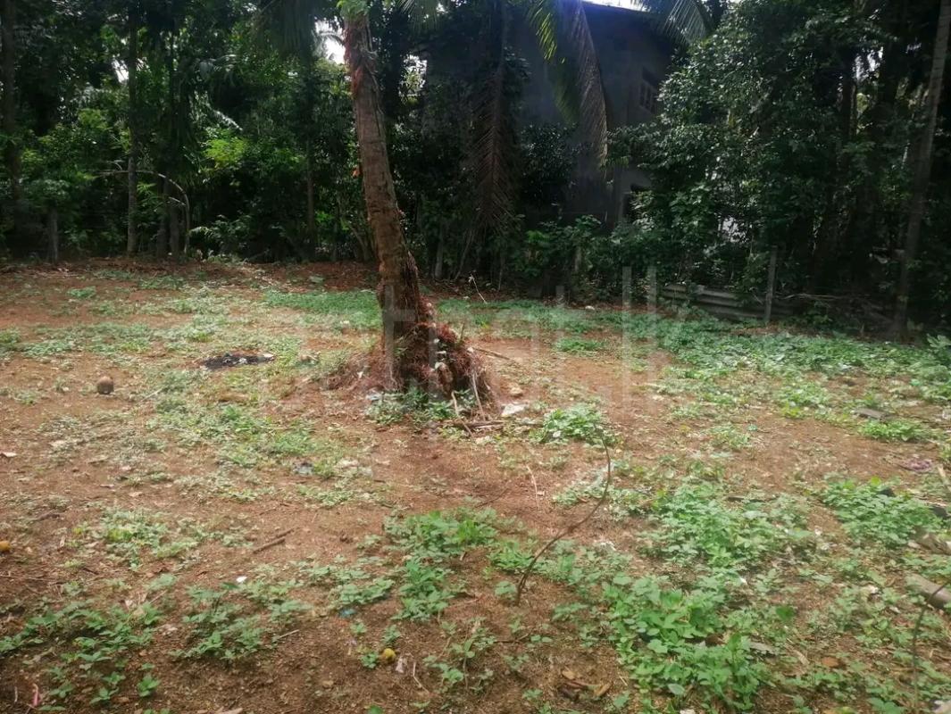 Agricultural Land for Sale in Mawathagama