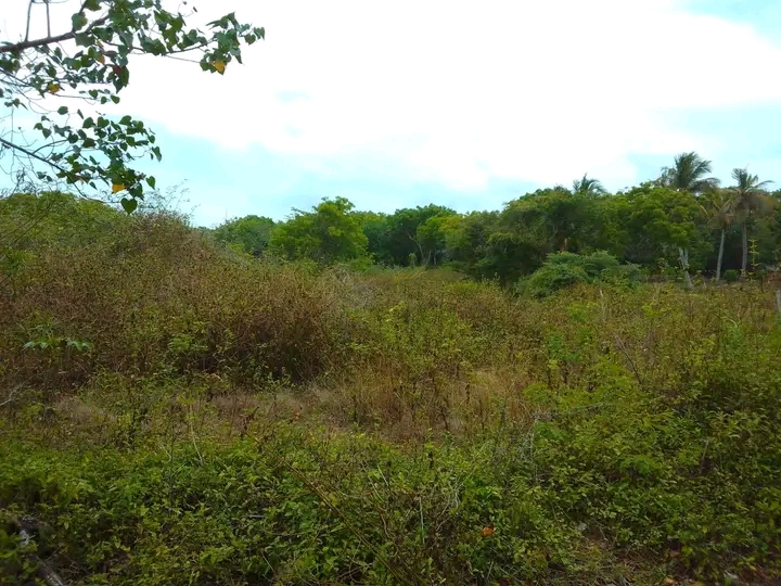 Residential Land for Sale in Tangalla