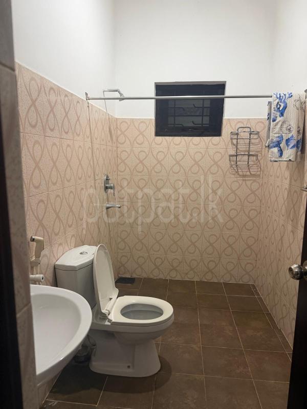 Advertisement image 15