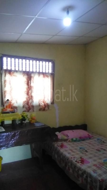 House for Rent in Kottawa ads-image-1