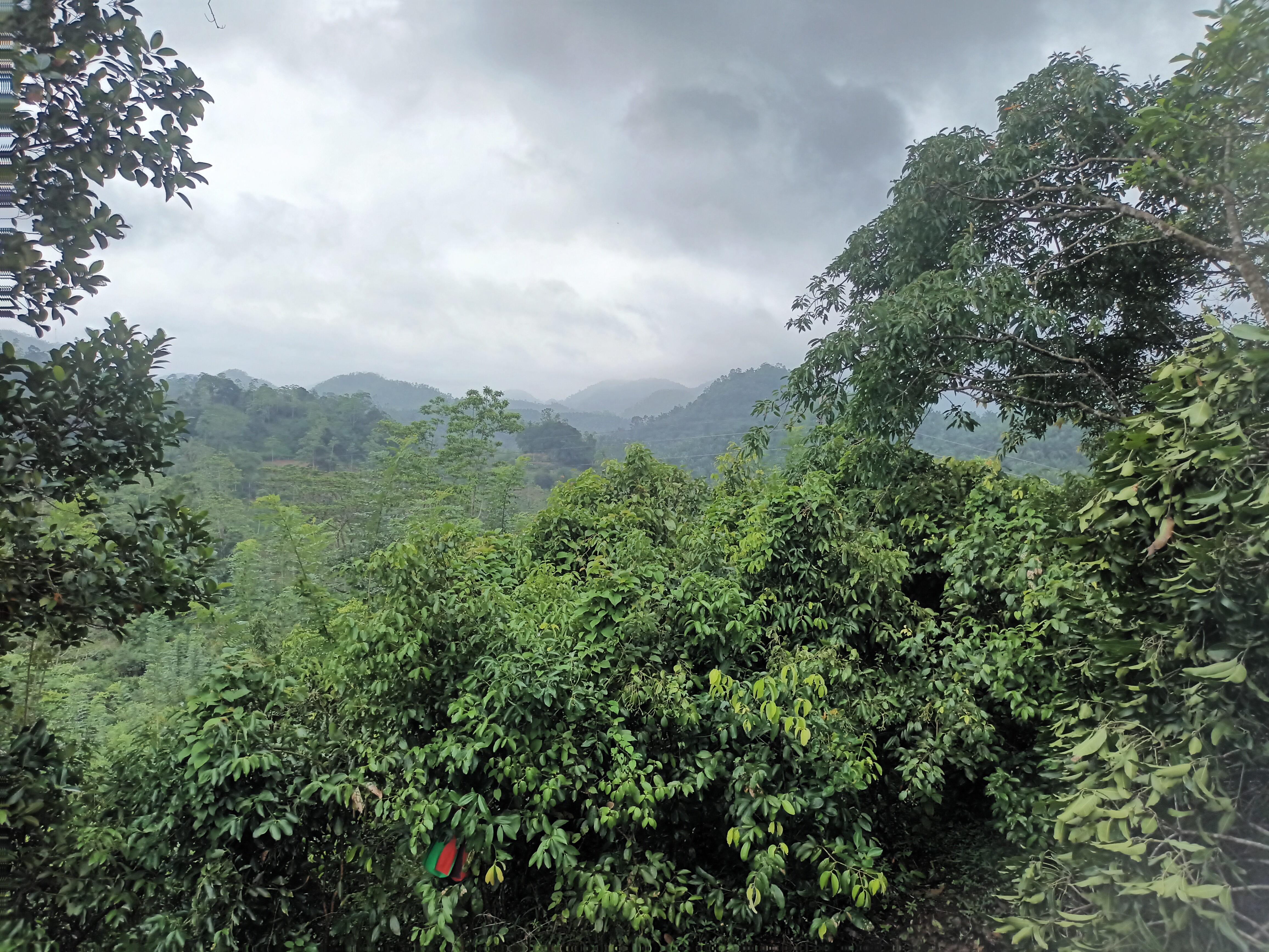 Agricultural Land for Sale in Udugama