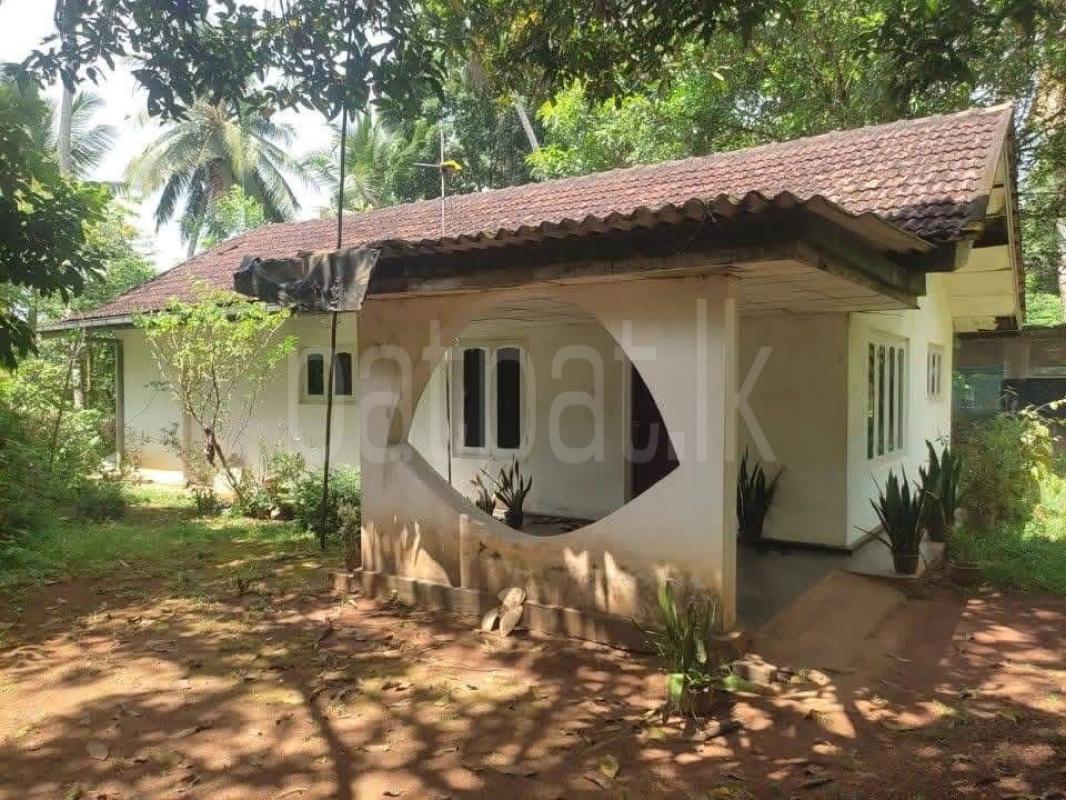House for Sale in Horana ads-image-1