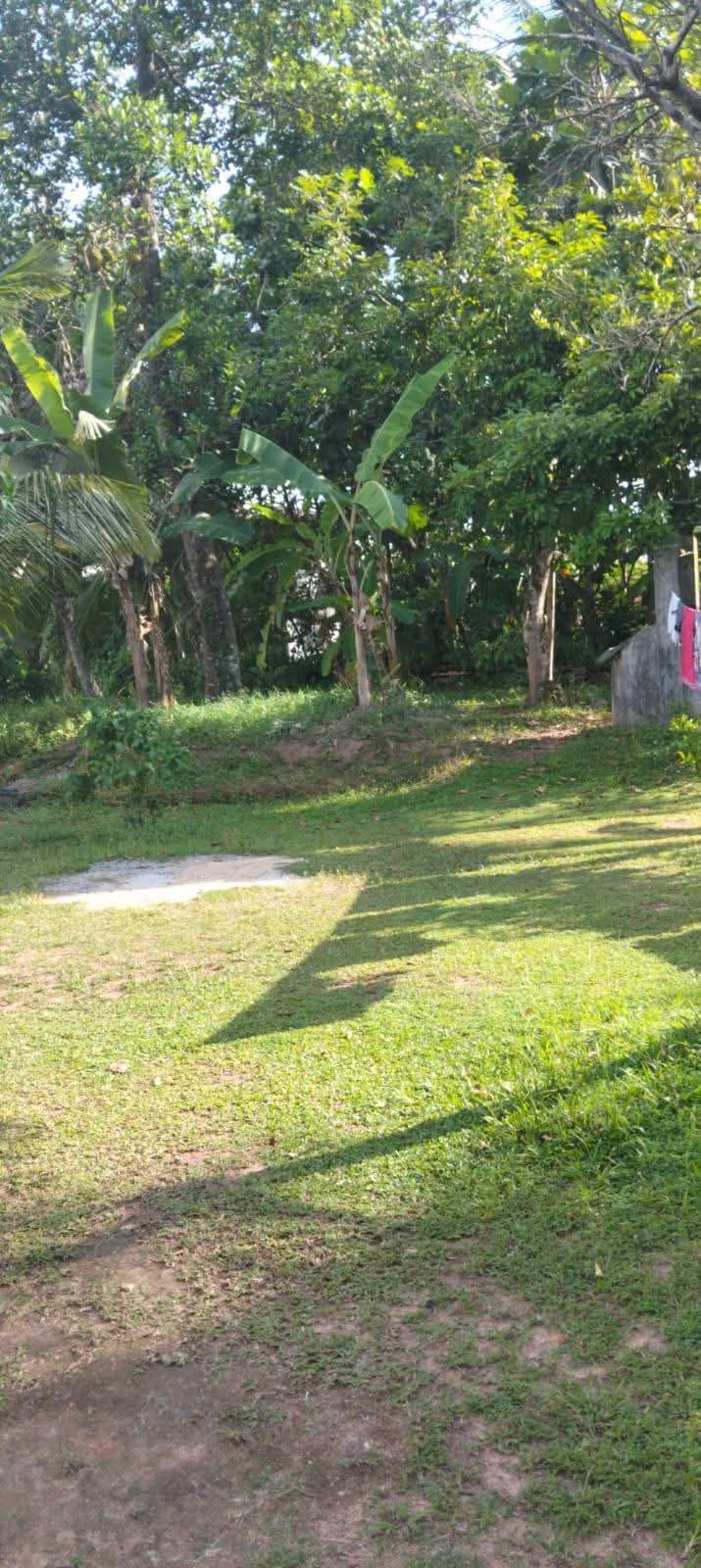 Commercial Land for Sale in Colombo Fort (Colombo 01)