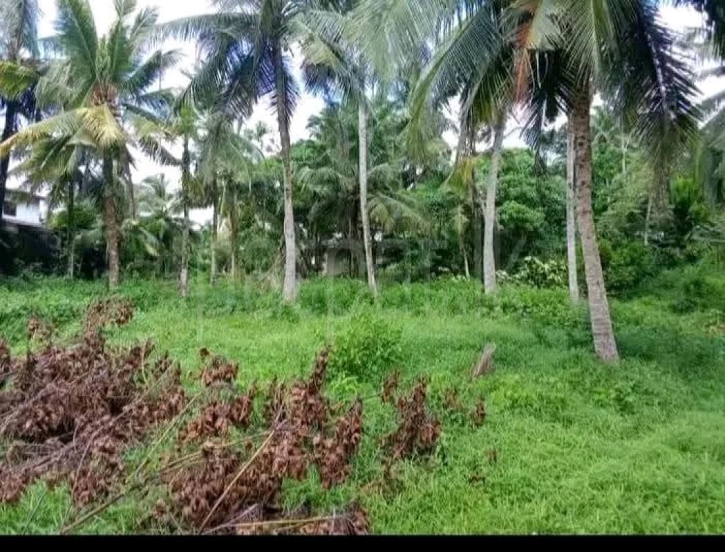 Commercial Land for Sale in Malabe