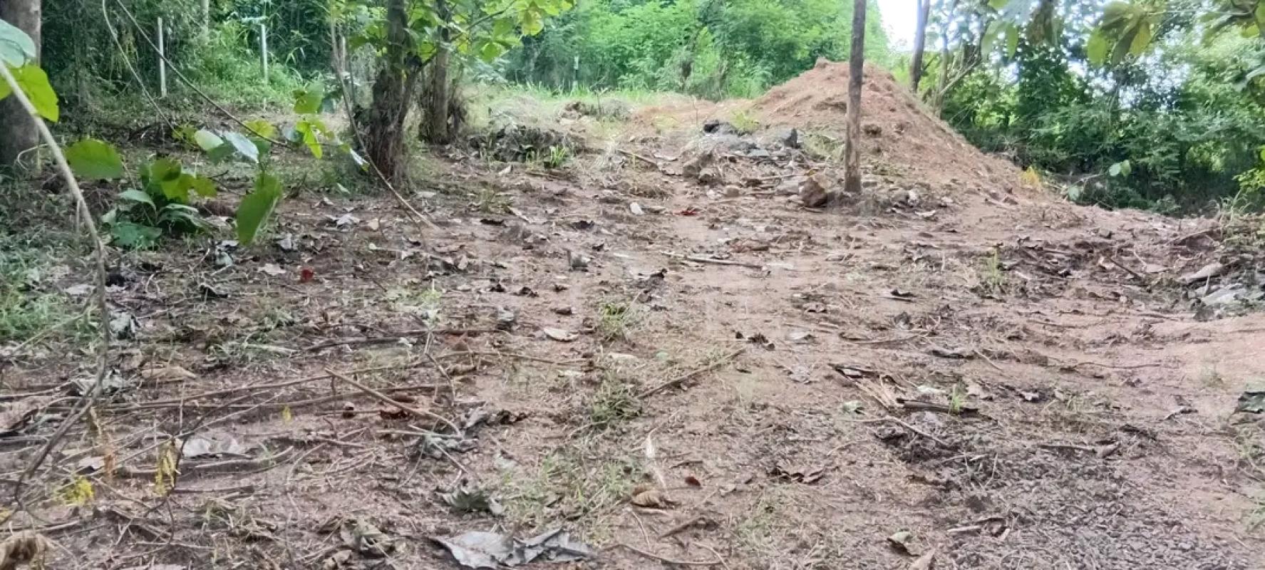 Agricultural Land for Sale in Horana