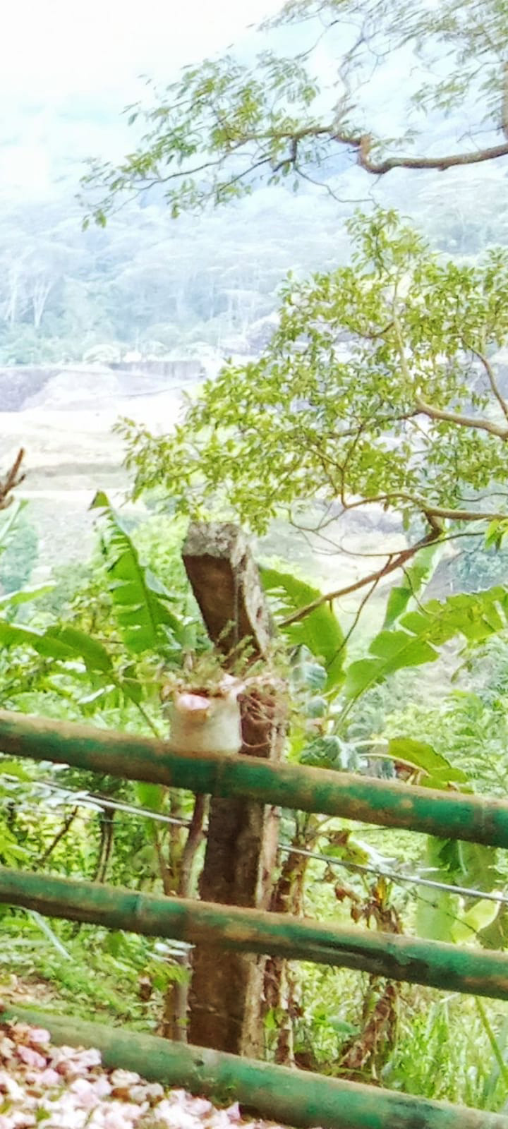 Commercial Land for Sale in Kotmale