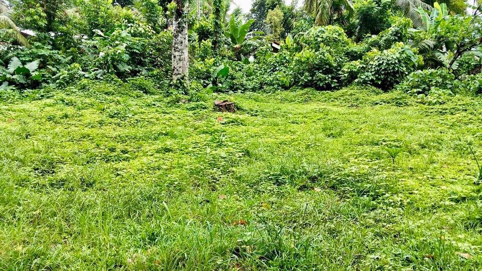 Residential Land for Sale in Galle