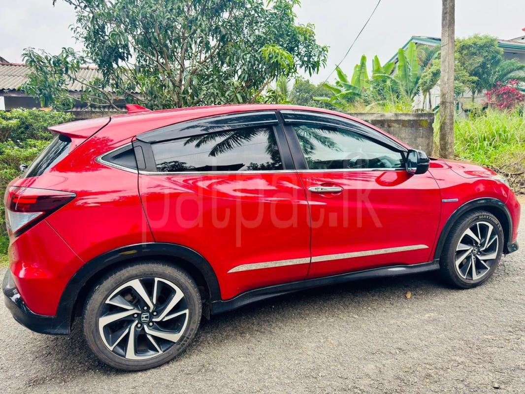 Advertisement image 6