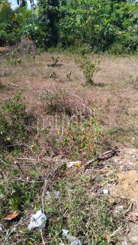 Residential Land for Sale in Moragahahena