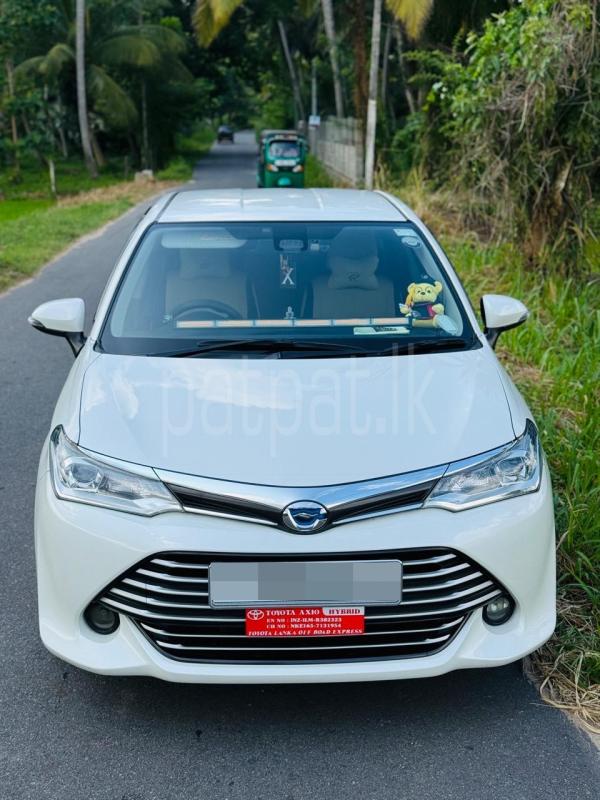 Advertisement image 3