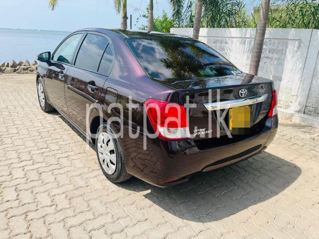 Advertisement image 6