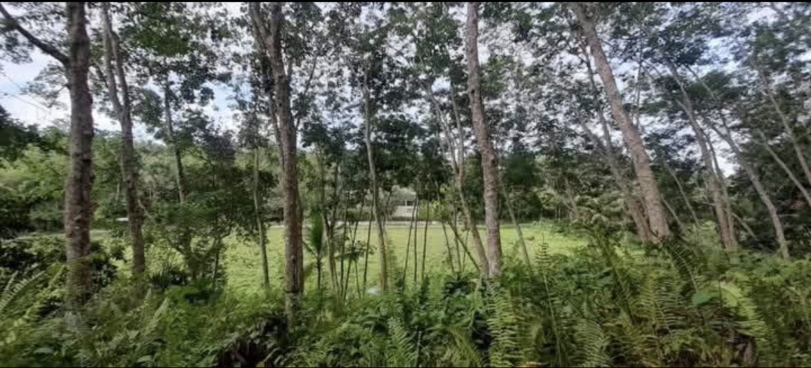 Agricultural Land for Sale in Galle