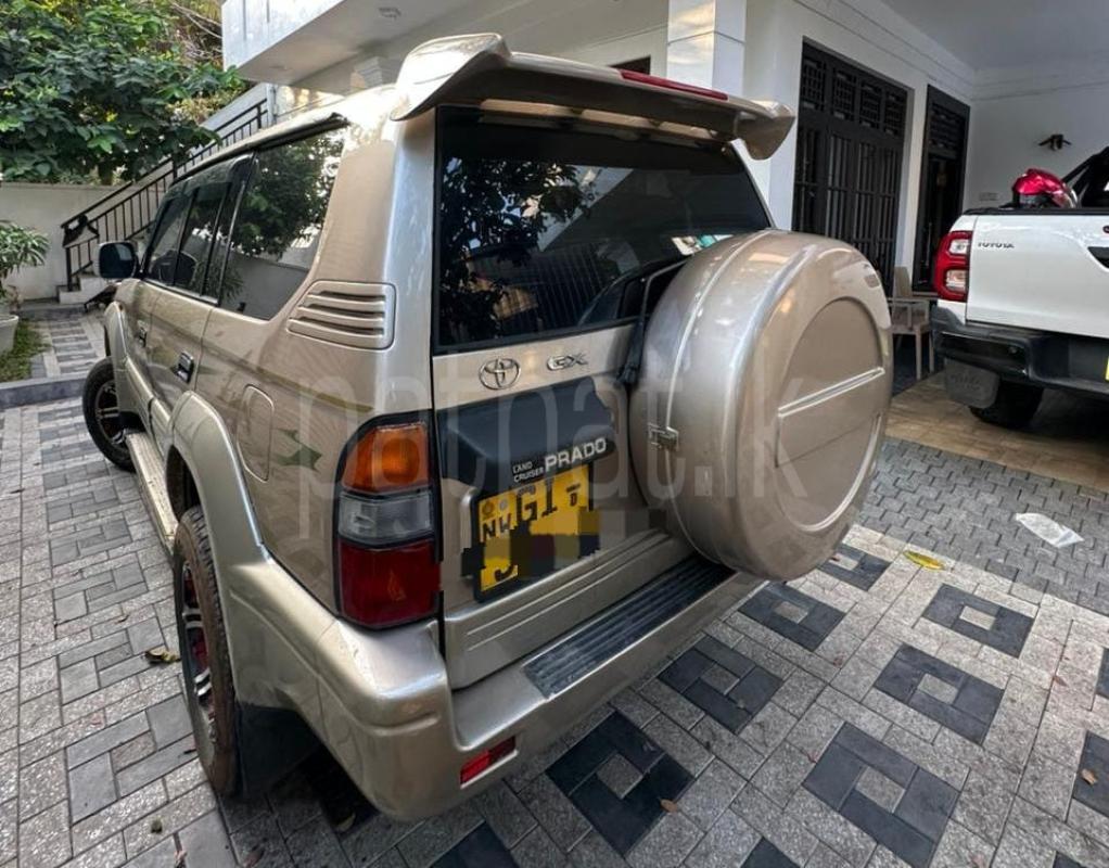 Advertisement image 2