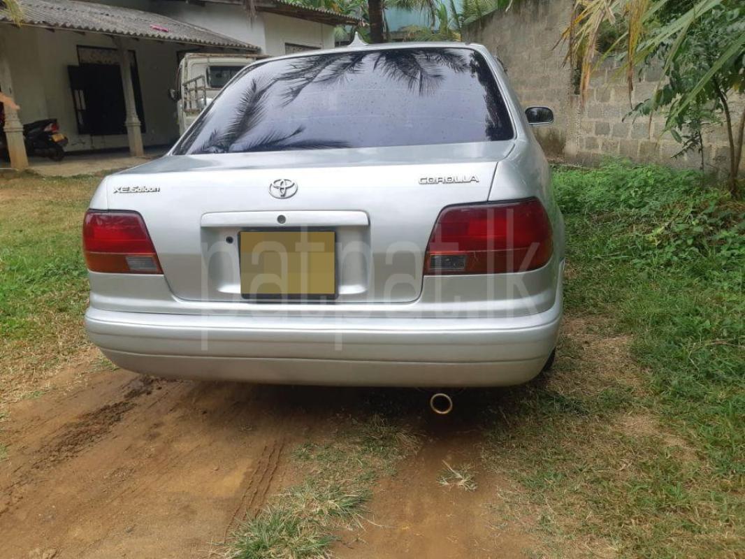 Advertisement image 4