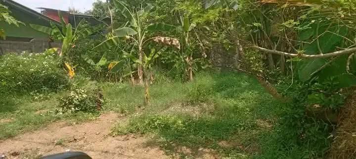 Commercial Land for Sale in Homagama