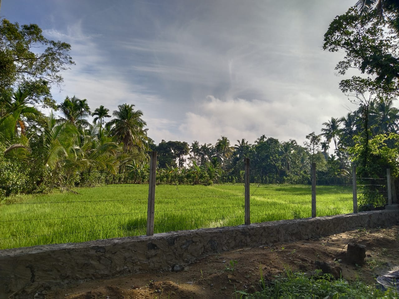 Residential Land for Sale in Horana