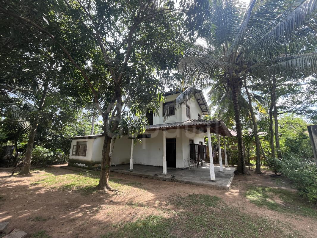 House for Sale in Ibbagamuwa ads-image-1