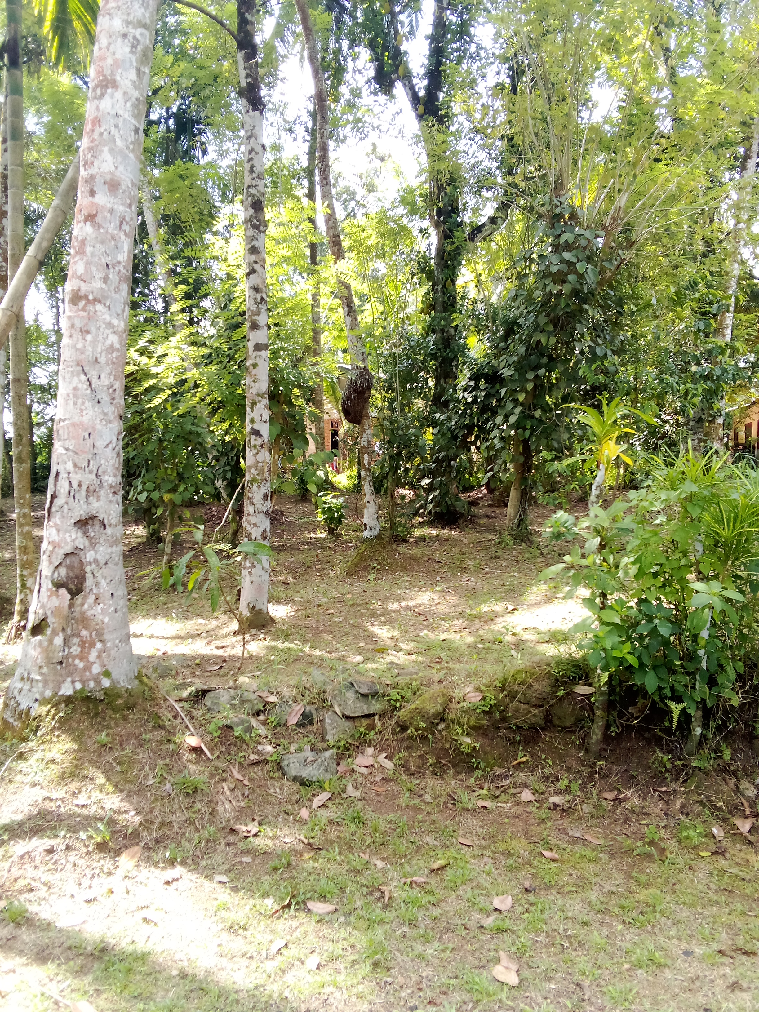 Commercial Land for Sale in Kosgama