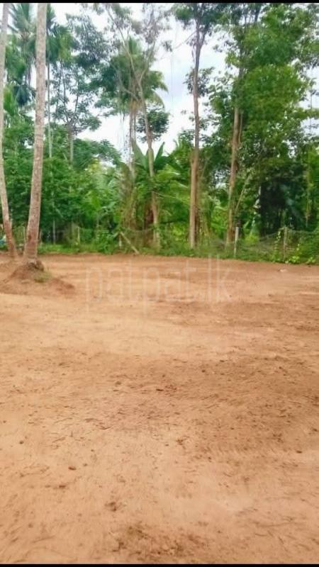 Residential Land for Sale in Divulapitiya ads-image-1