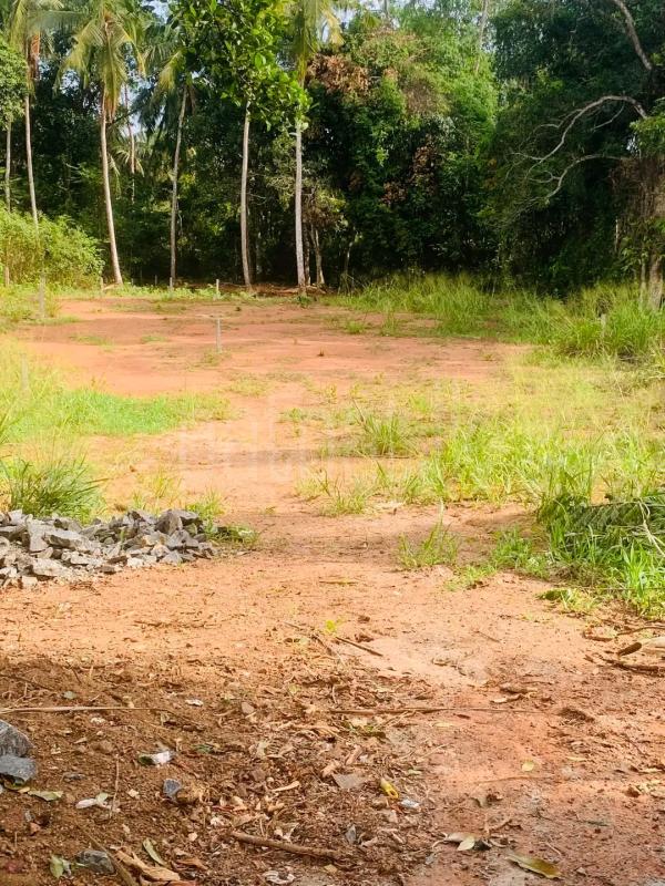 Residential Land for Sale in Mirigama ads-image-1