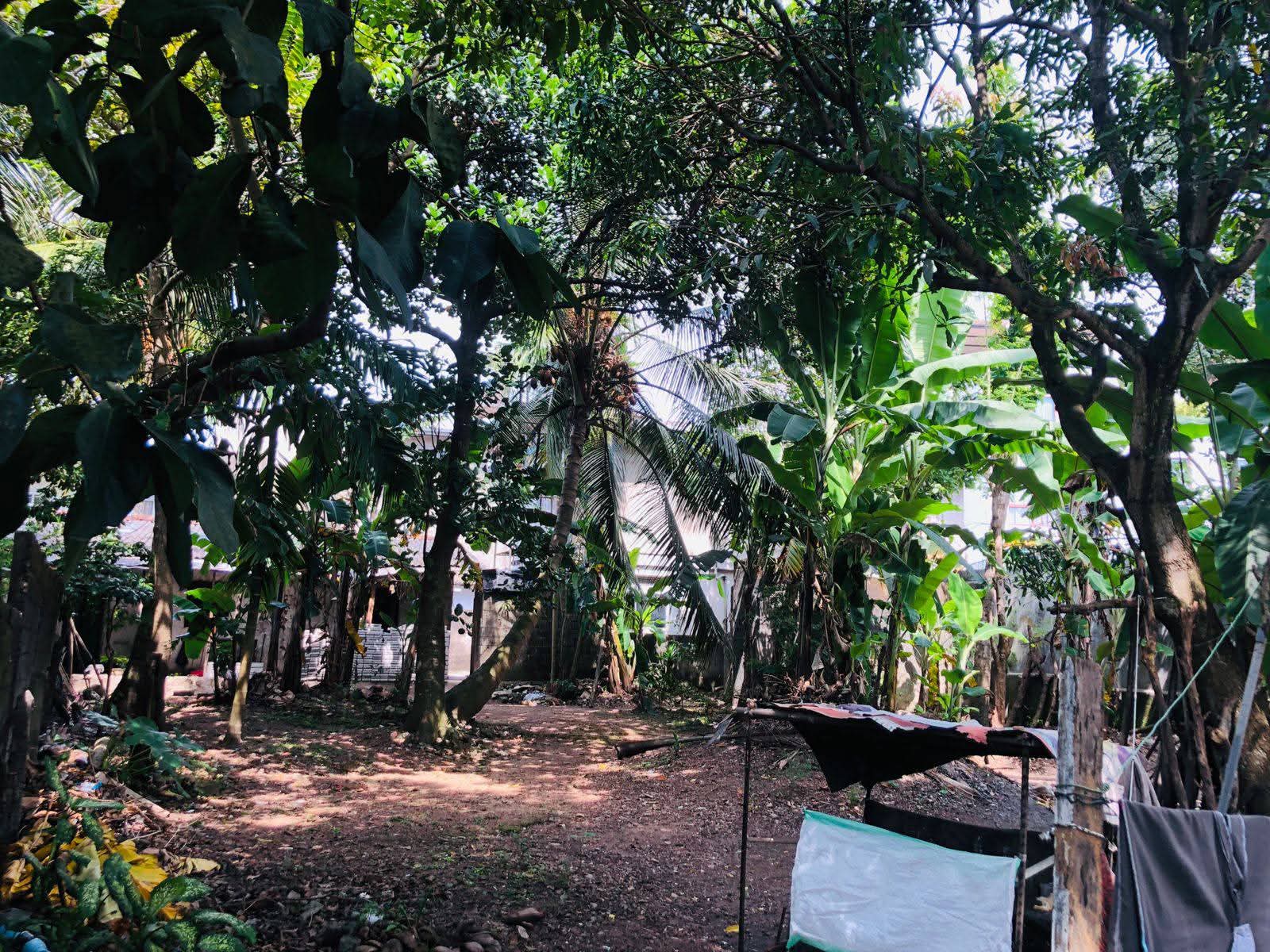 Commercial Land for Sale in Nugegoda