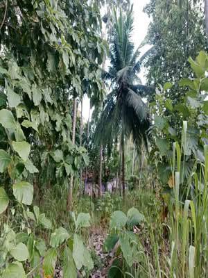 House for Sale in Hettipola