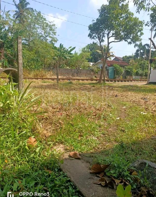 Agricultural Land for Sale in Piliyandala