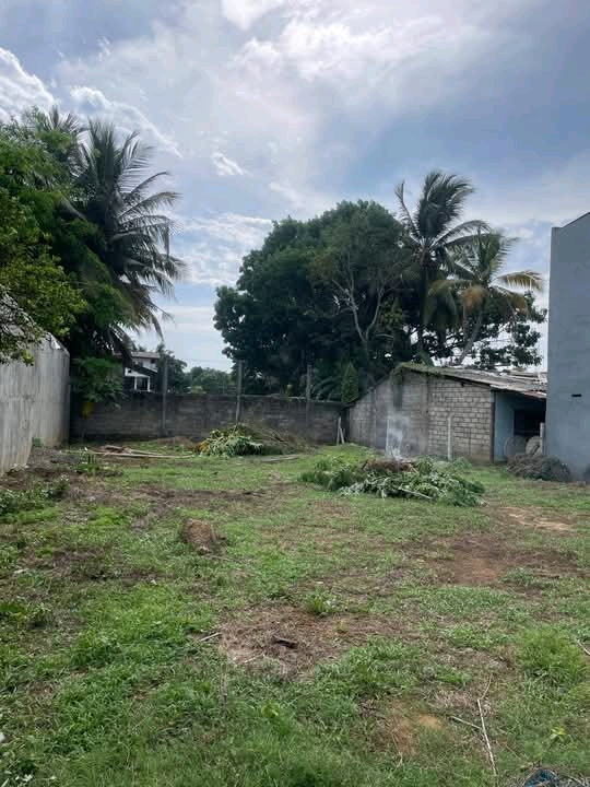 Commercial Land for Sale in Moratuwa