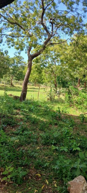 Residential Land for Sale in Kataragama ads-image-1