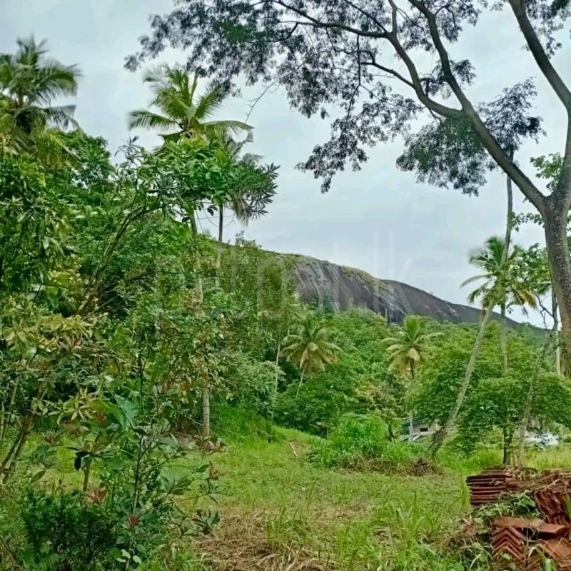 Agricultural Land for Sale in Maho ads-image-1