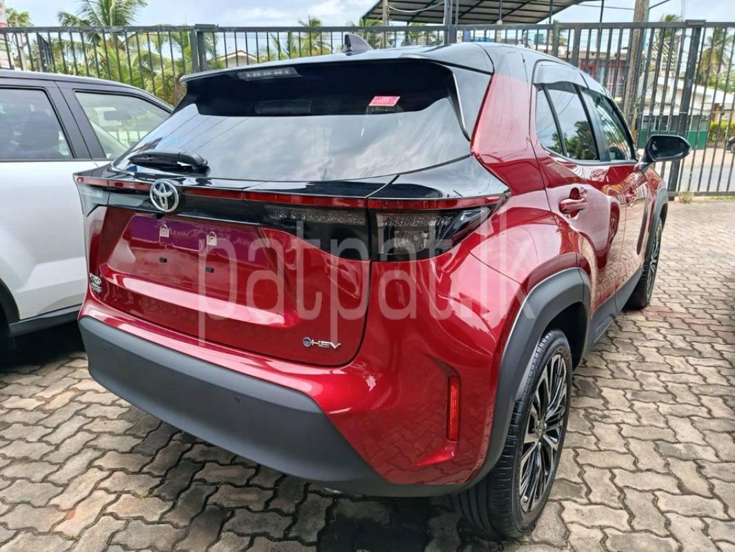 Advertisement image 5