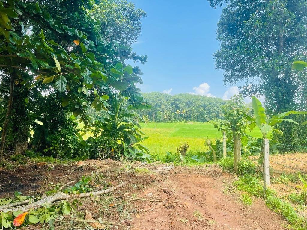 Agricultural Land for Sale in Panadura