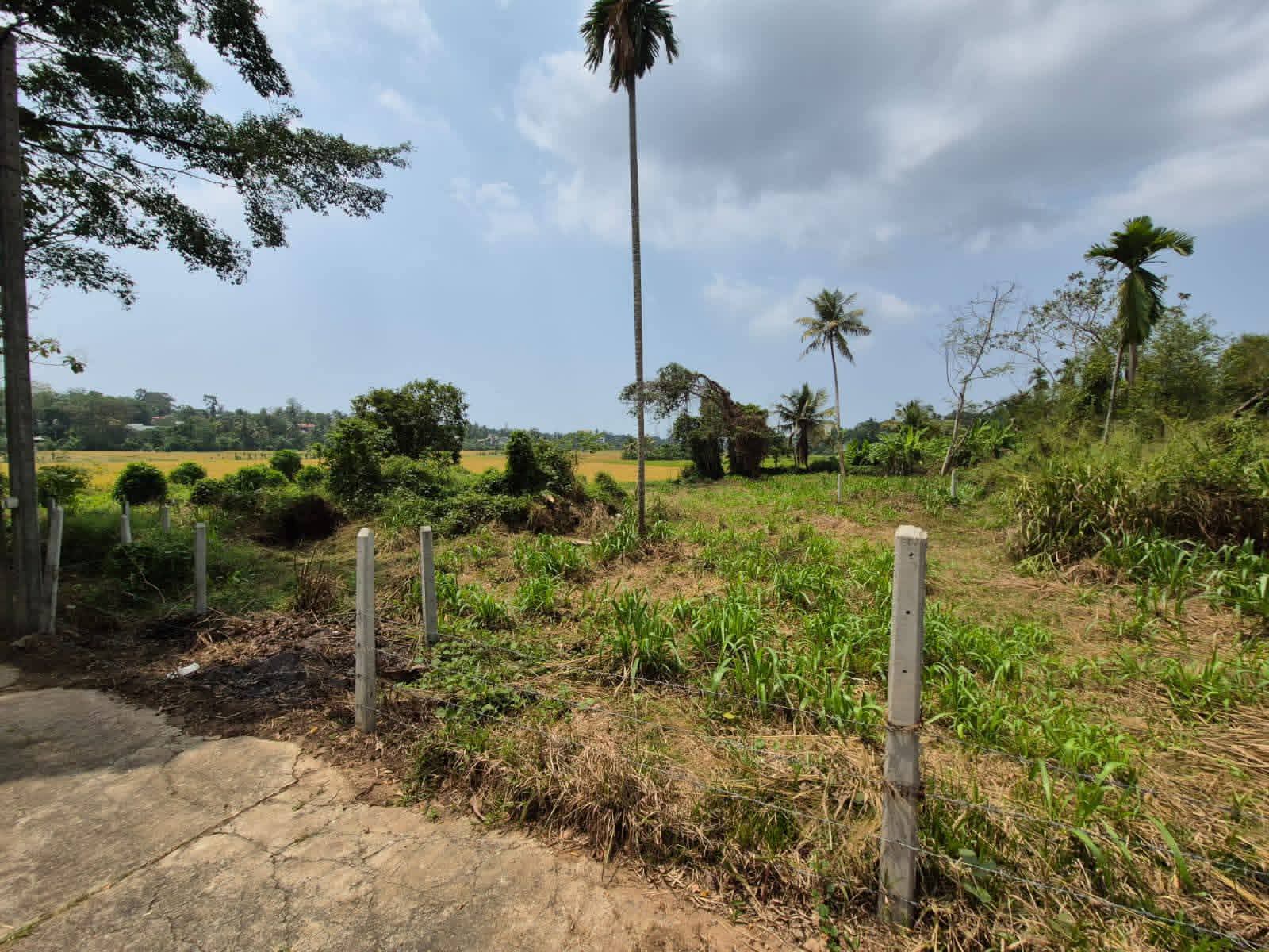 Commercial Land for Sale in Malabe