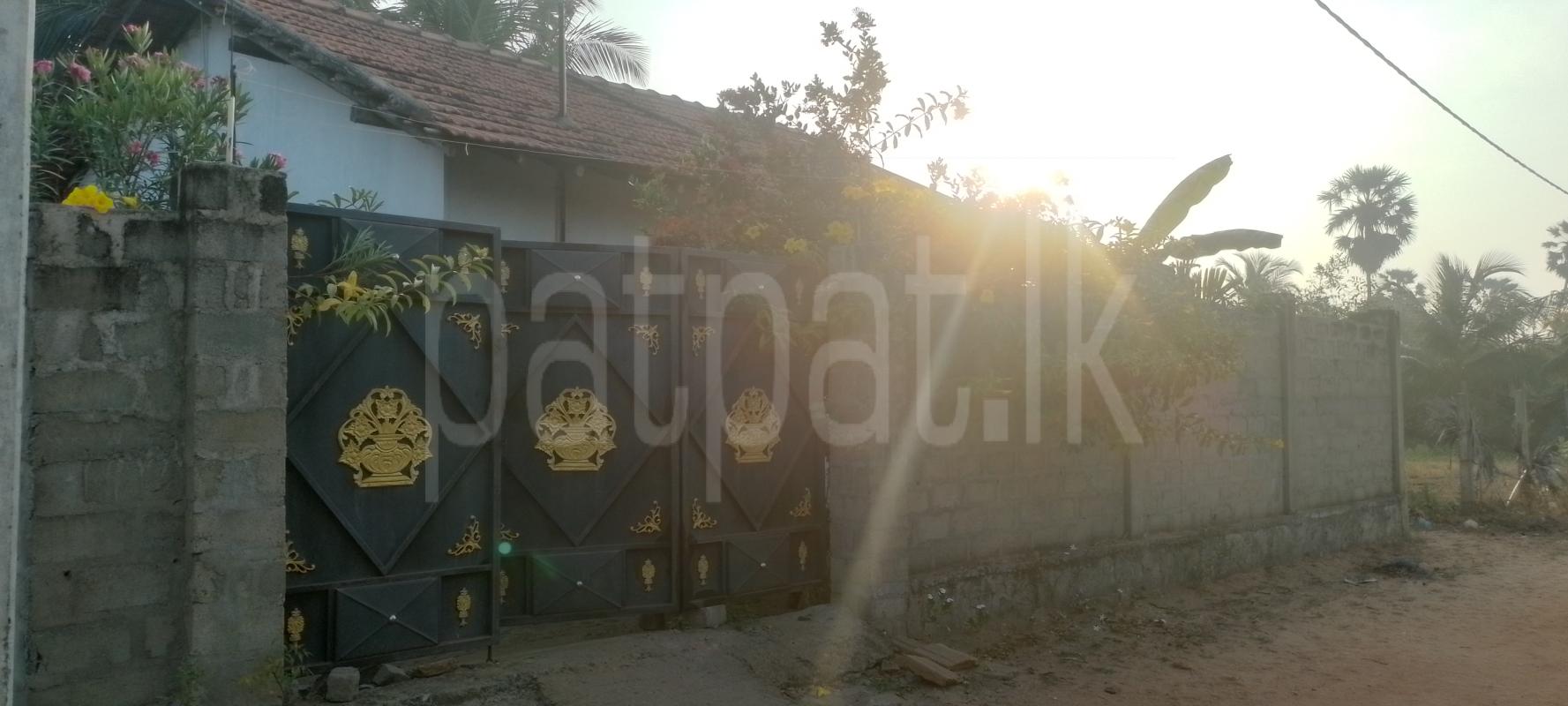 House for Sale in Pesalai ads-image-1