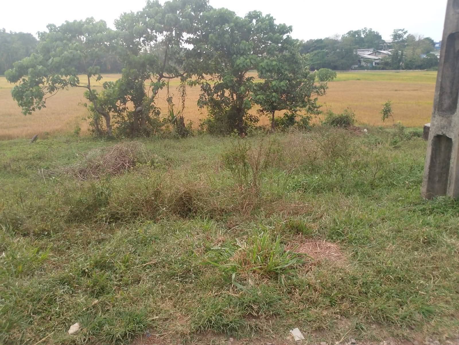 Residential Land for Sale in Homagama