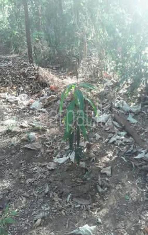 Residential Land for Sale in Dambulla